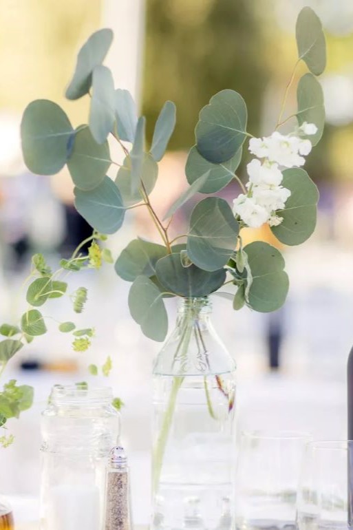 Eucalyptus Centerpiece
